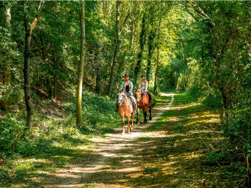 Randonnée Villes Soeurs Chemin Vert du Petit Caux