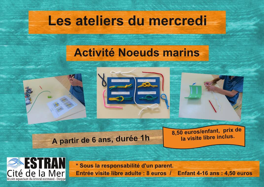 Activité noeuds marins