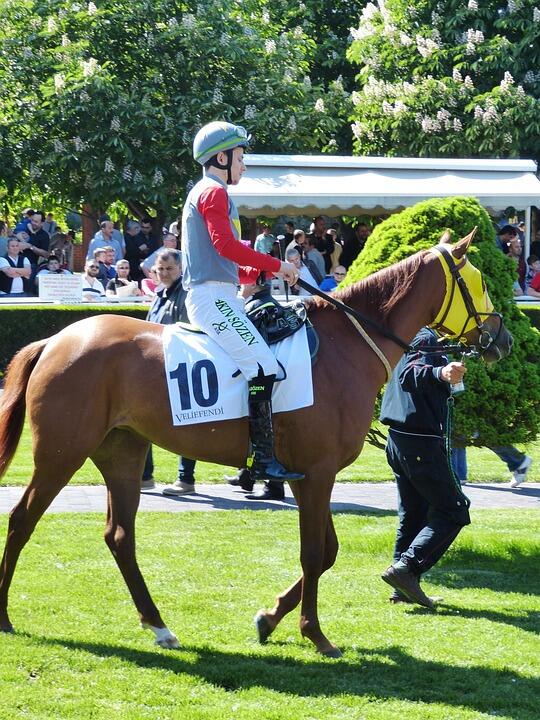 course-hippique-8