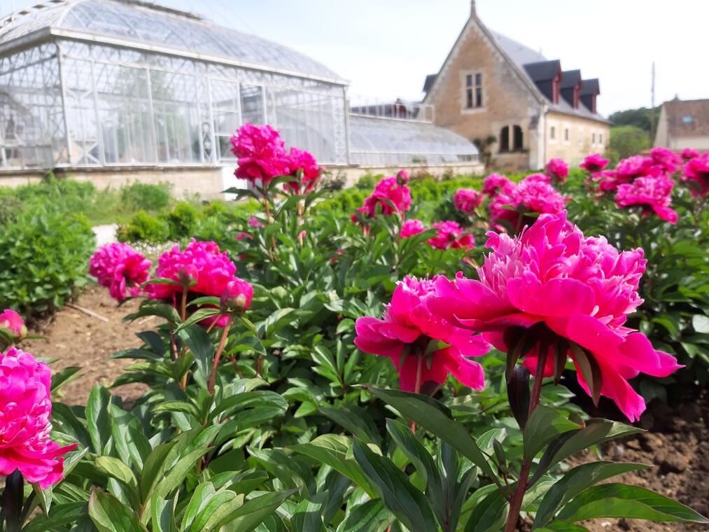 Jardin Potager - Bonnétable