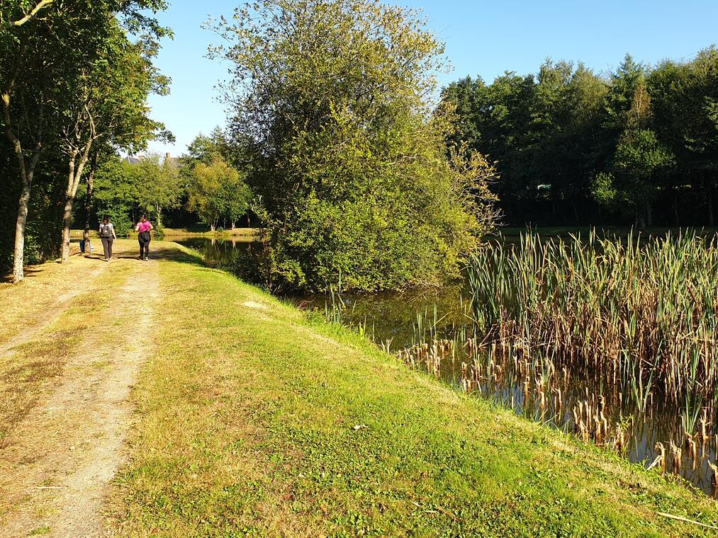 au bord de l'étang du Clos