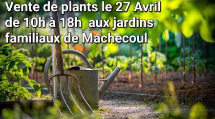 vente-plants-machecoul-saint-meme-44-fma-1