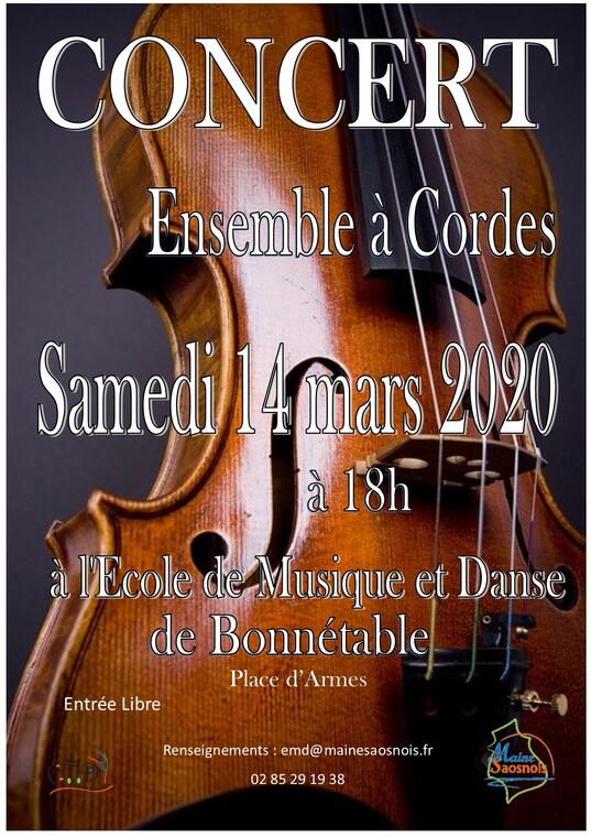 Affiche-ensemble-a-cordes