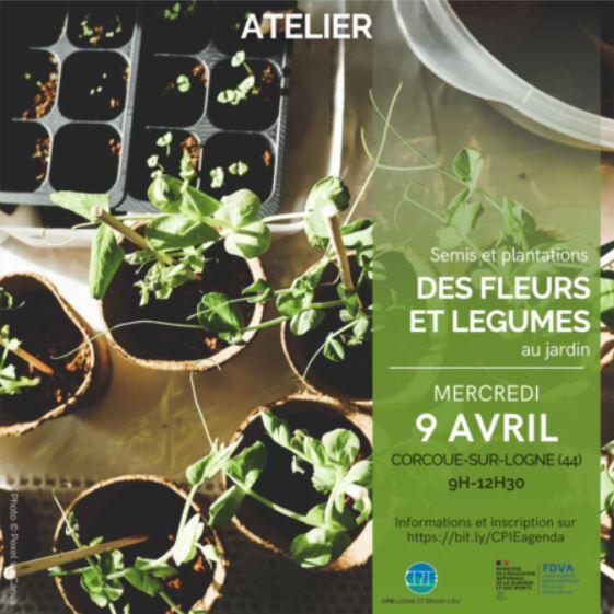 atelier-semis-et-plantations-corcoue-sur-logne-44-fma-1