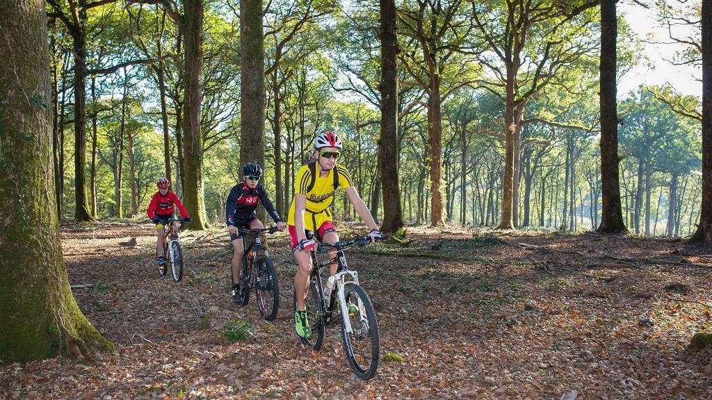 VTT en forêt de Mervent