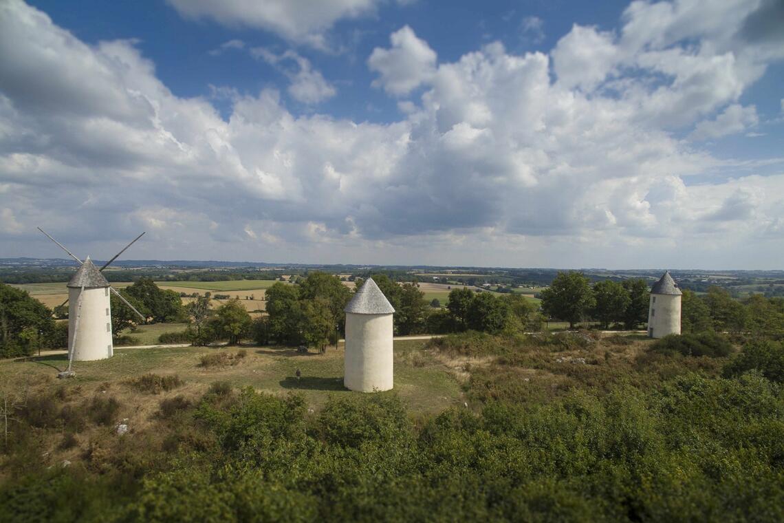 Vue-aerienne-Colline-des-moulins--Mehdi-Media-pour-Sud-Vendee-Tourisme-2015WEB-2