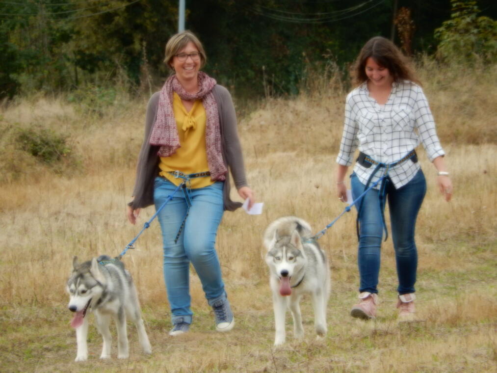 cani-rando-huskies d'anjou