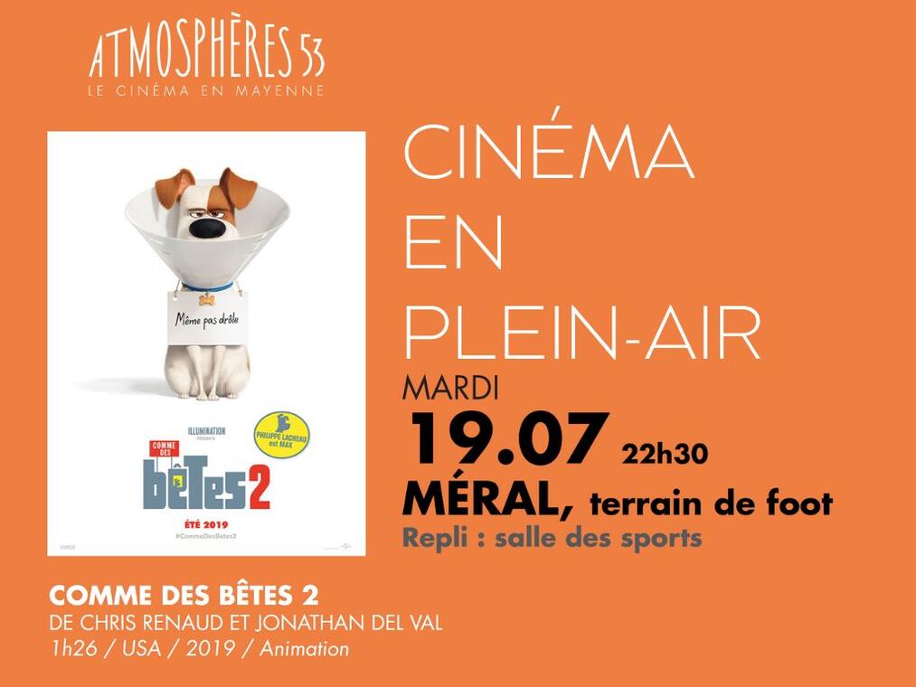 cine-plein-air-comme-des-betes-2
