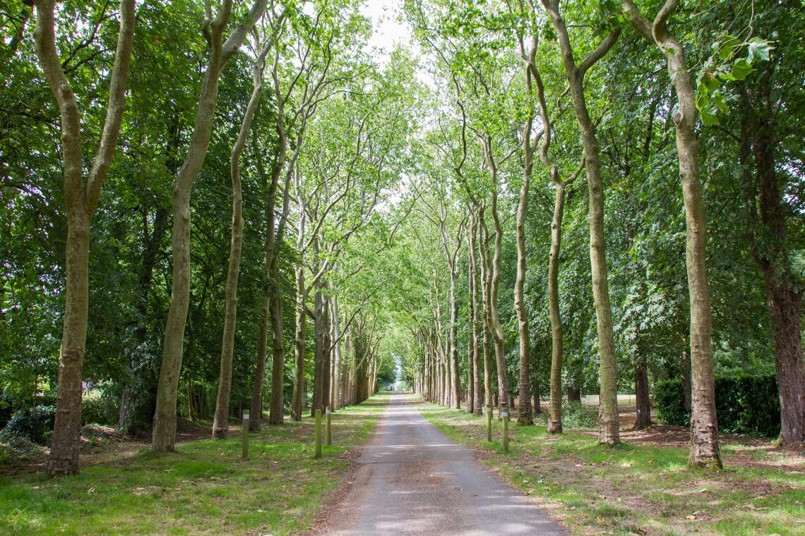 crédit FFRandonnée Mayenne