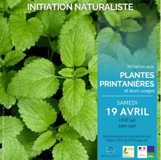 initiations-plantes-printanieres-lege-44-fma-1