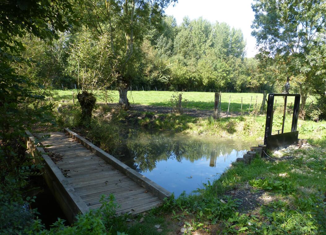 sentier de Bouillé Courdault