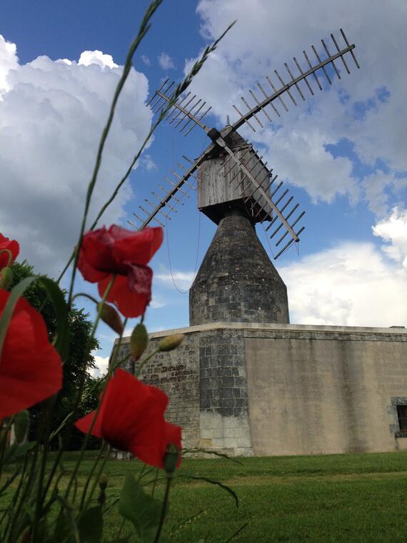 Moulin  Puy Ardanne.JPG_1