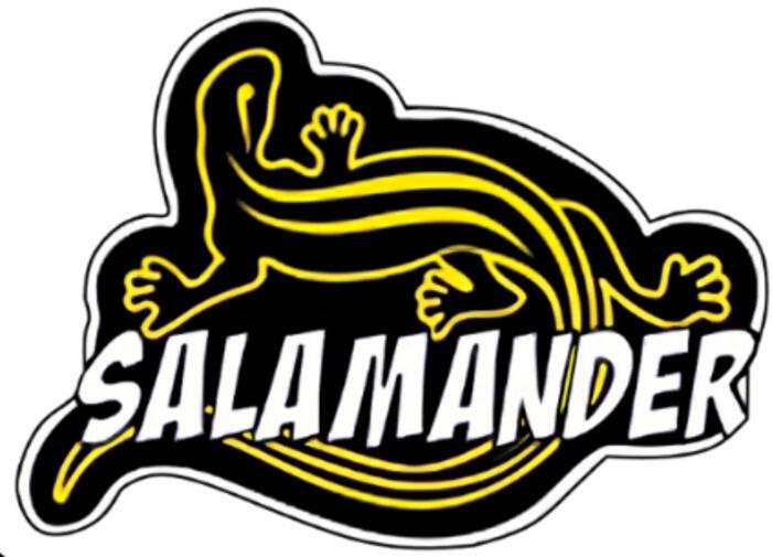 Evénement Salamander - Skatepark_1