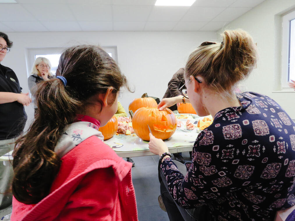 photo atelier citrouille