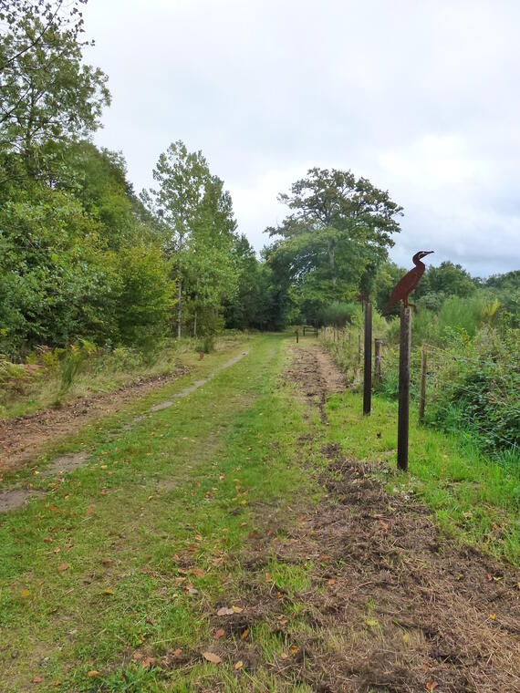 Le chemin du Héron_1