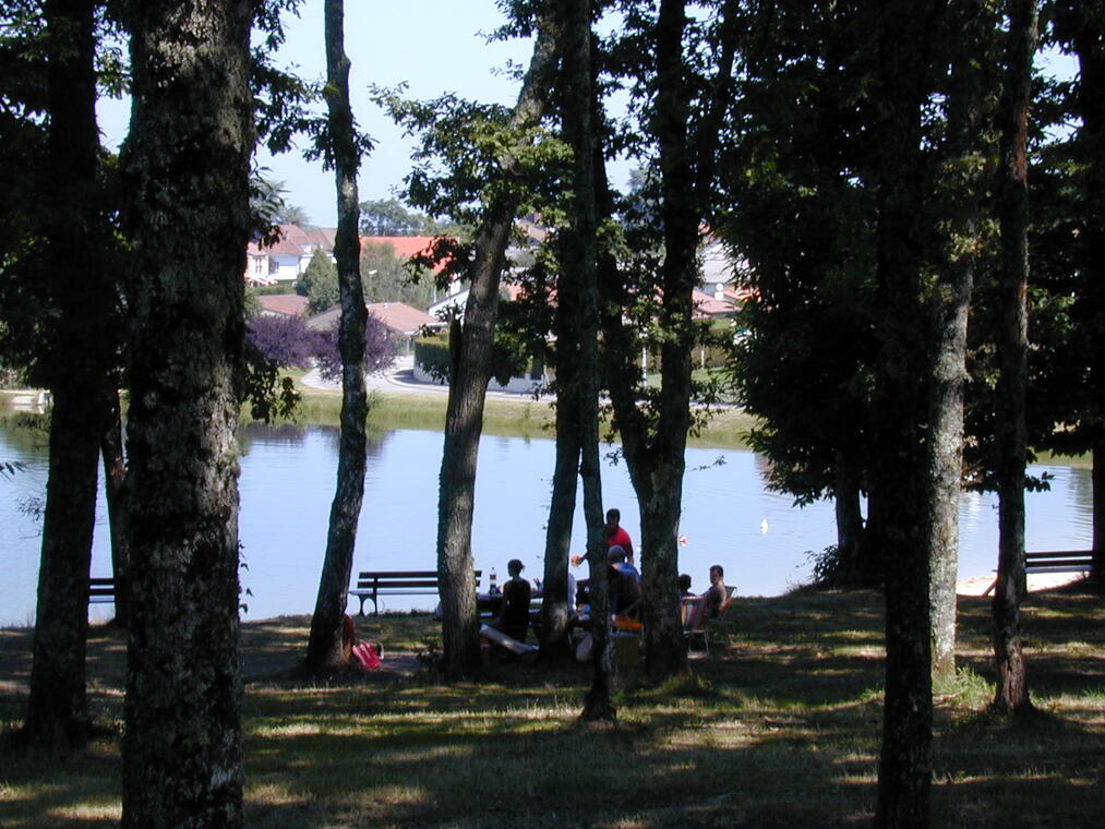 Balade du côté de la Vienne (cyclo 20 km)_1