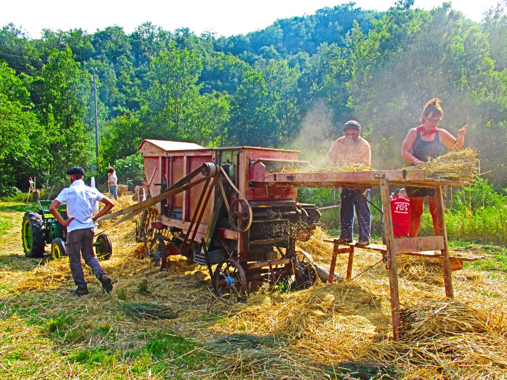 Fête d'Antan_1