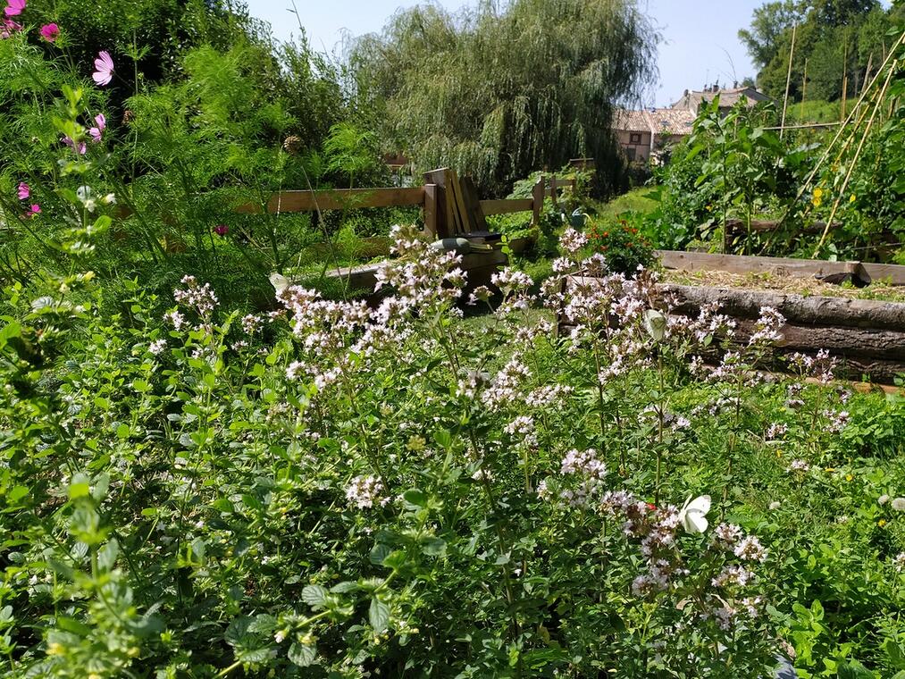 RENDEZ-VOUS AUX JARDINS - SAISSAC