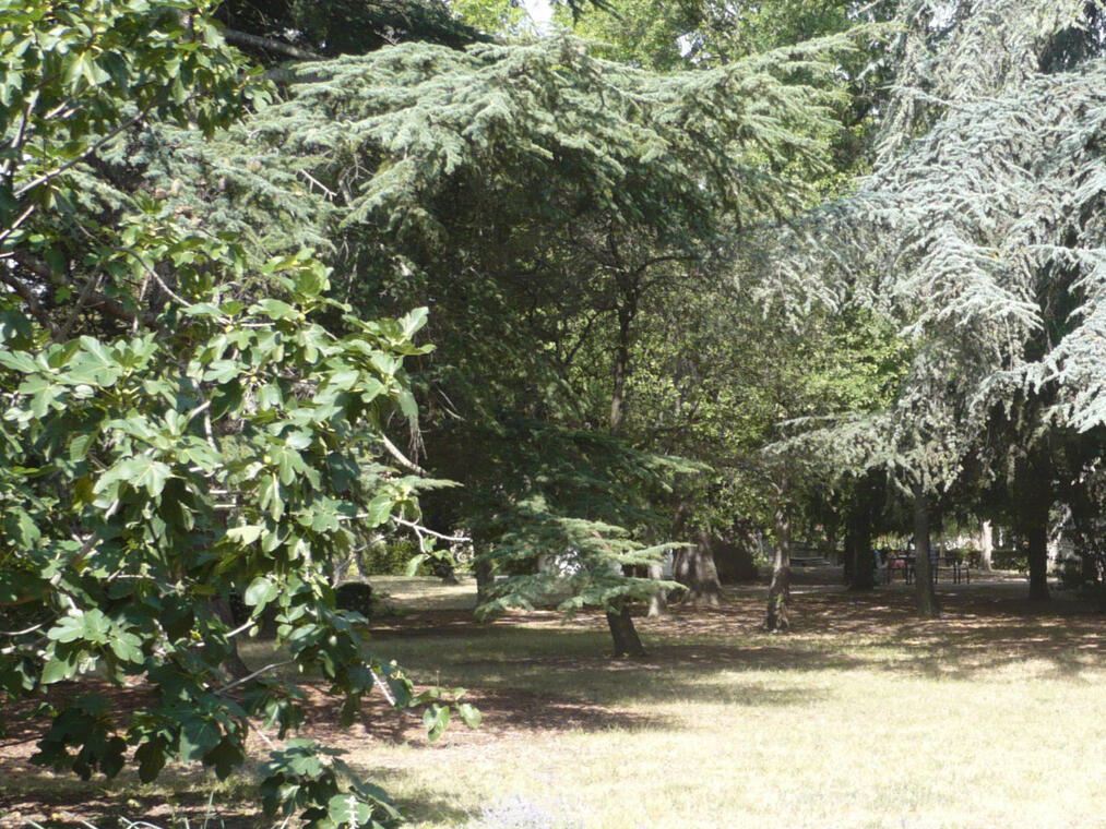 Parc de Cluny