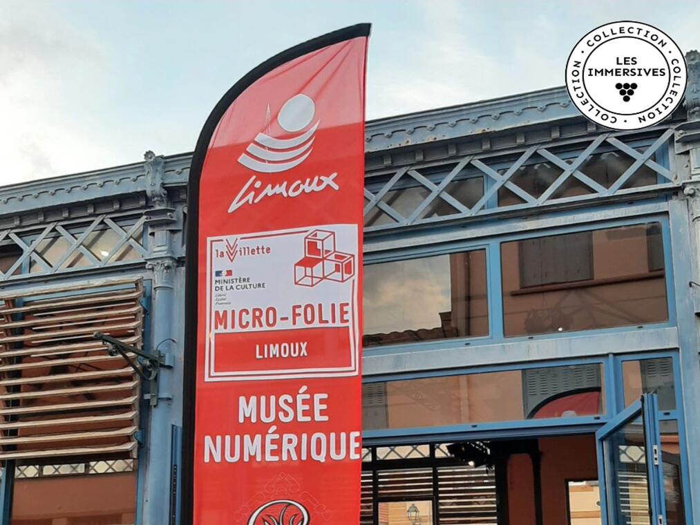 VES - MICRO-FOLIE & VIN