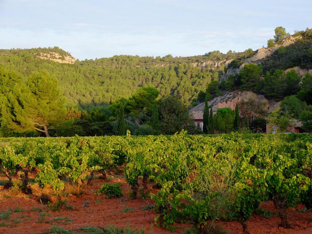 CHATEAU PRIEURE BORDE ROUGE