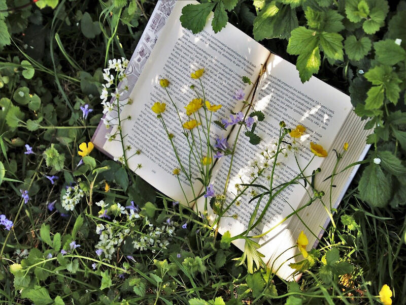 reading-3355230_1280b