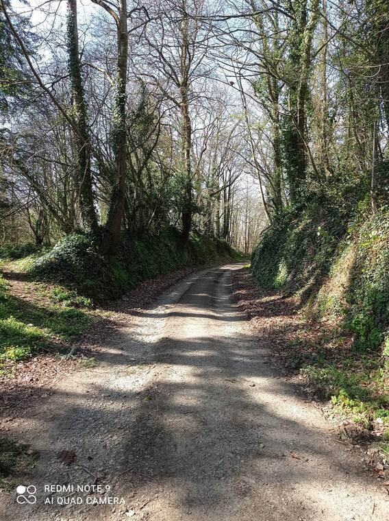 6 chemin creux Ploumilliau-30 juillet