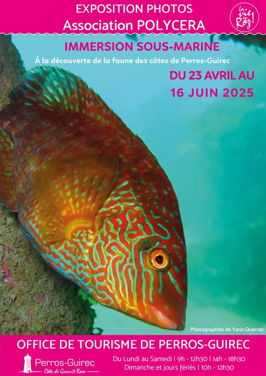 Affiche expo Polycera