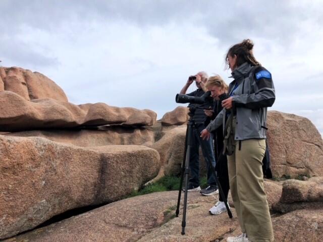 Balade Initiation Naturaliste