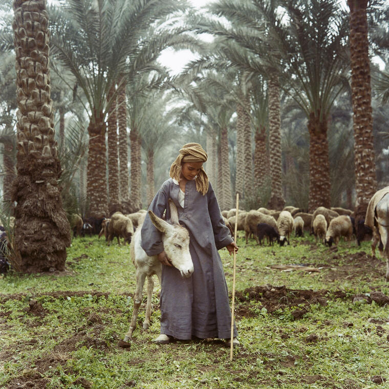 Denis Dailleux, Berger à Sabhara, 1996, coll. L’Imagerie centre d’art