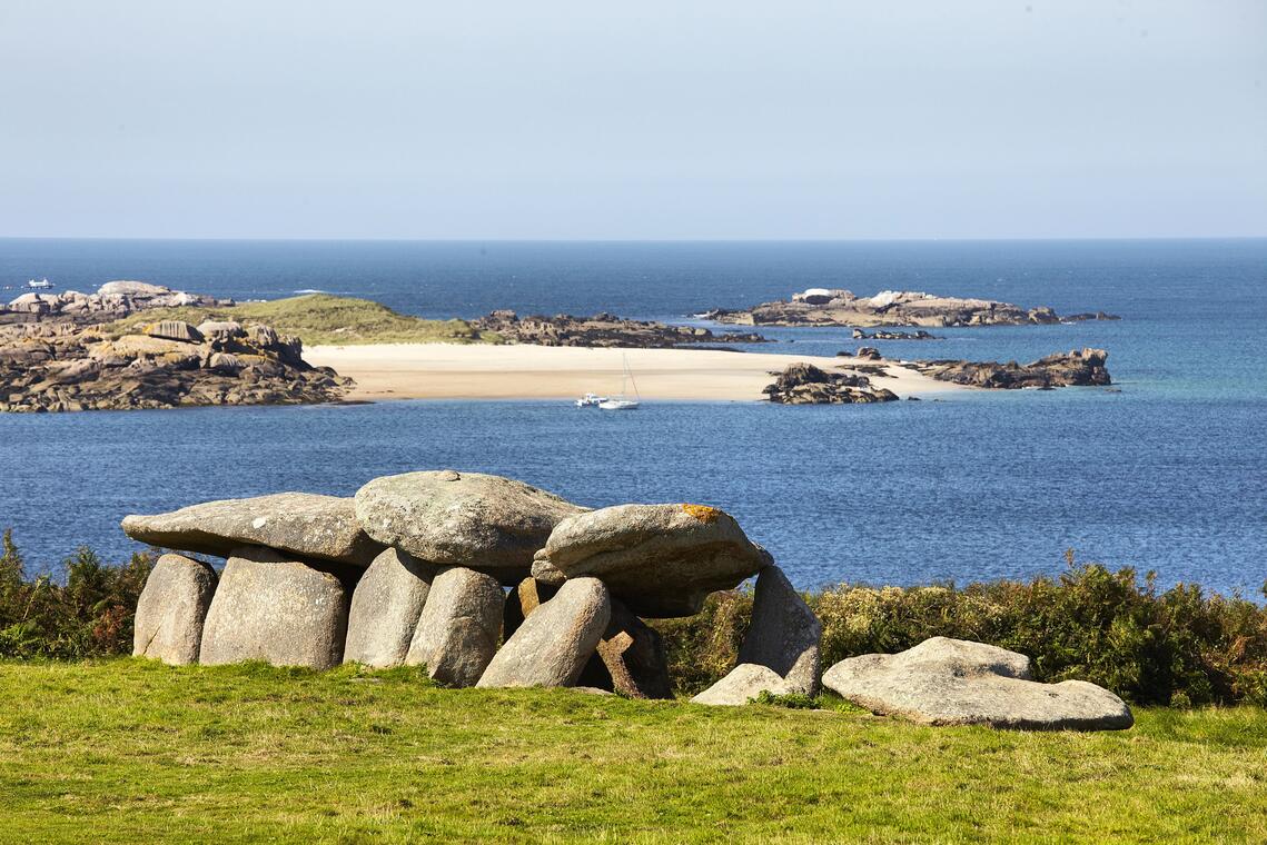 Allée couverte de l'île Milliau