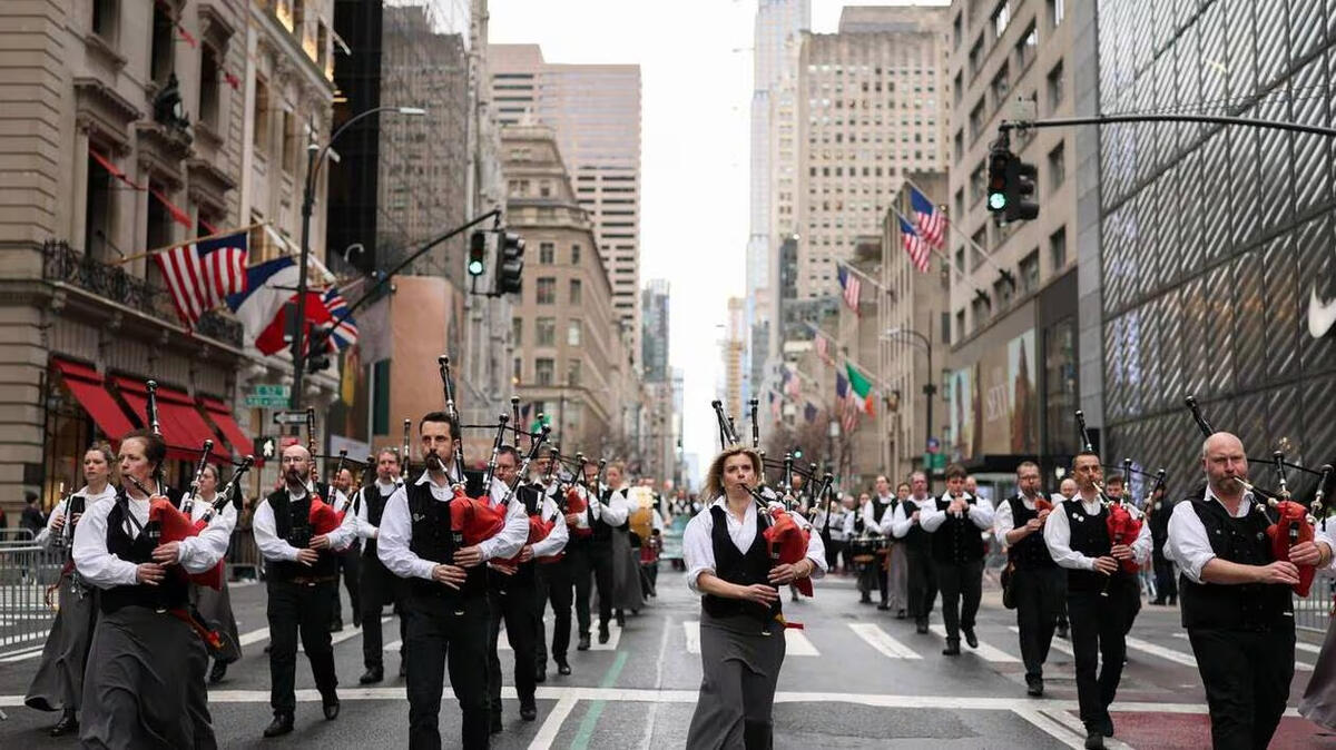bagad-perros-NY