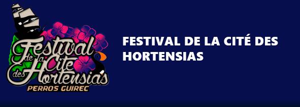 hortensias