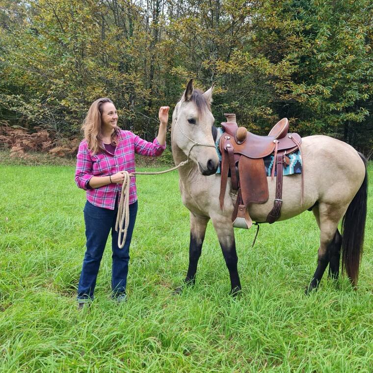 cours équitation