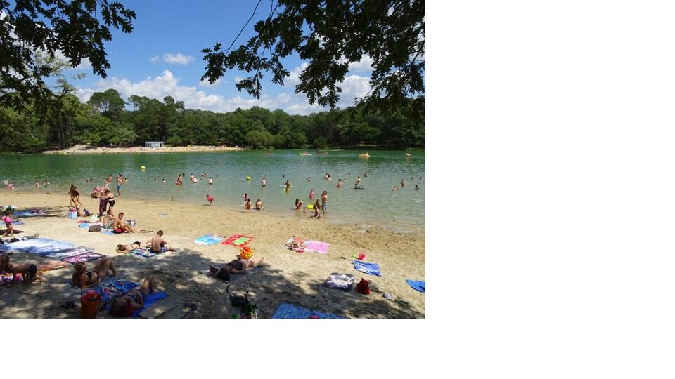 Etang Neufont