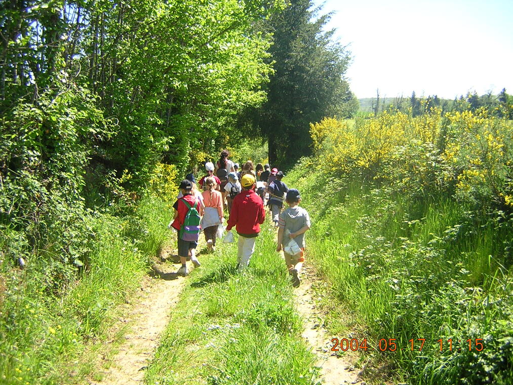 Sentier de randonnee