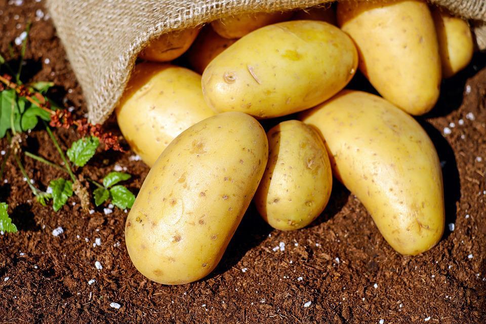 potatoes-1585075_960_720