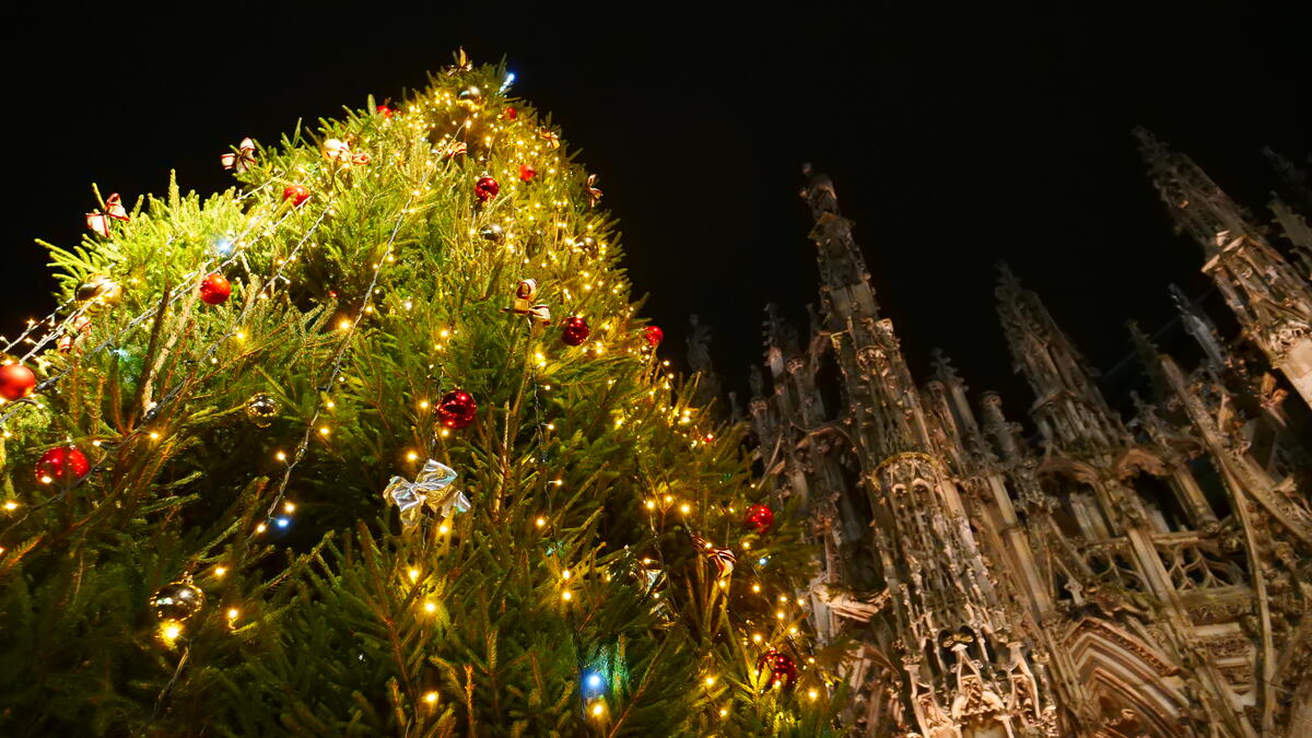 Lancement des illuminations de Noël