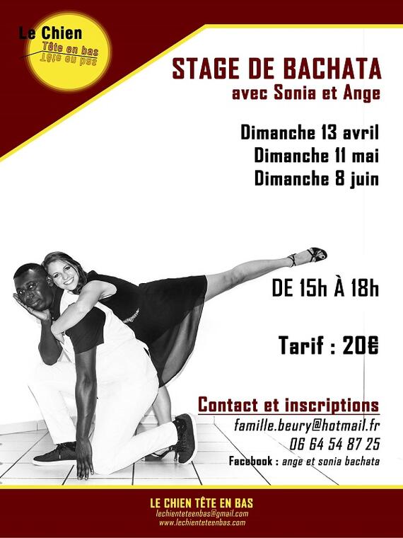 Stage de danse Bachata