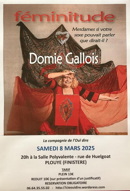 Domie gallois