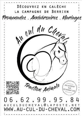 Au cul du cheval 2
