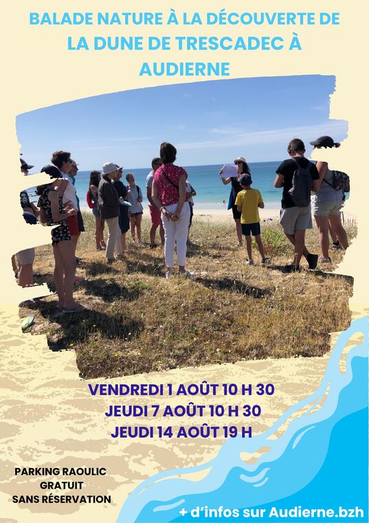 Balade nature à la découverte de la dune de Trescadec à Audierne
