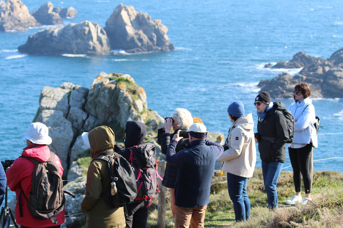 Réserve du Cap-Sizun à Goulien