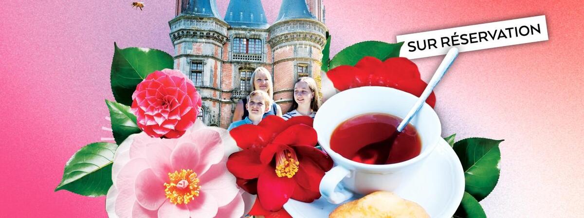 Le thé : du Camélia à la tasse