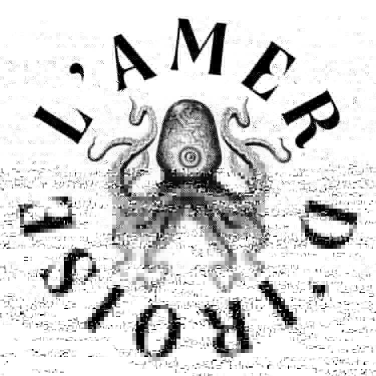 logo amer iroise