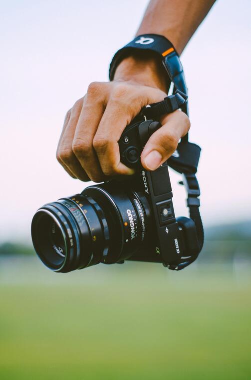 pexels-maxzal-2953179