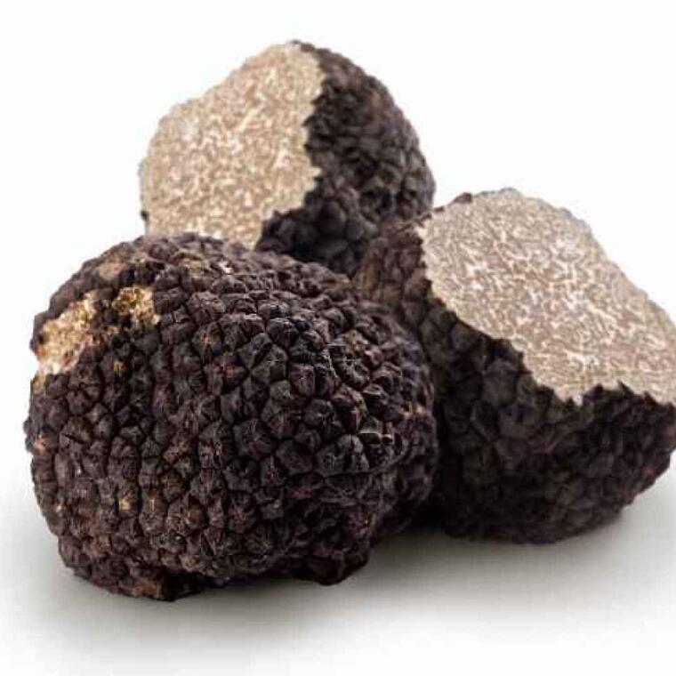 truffes