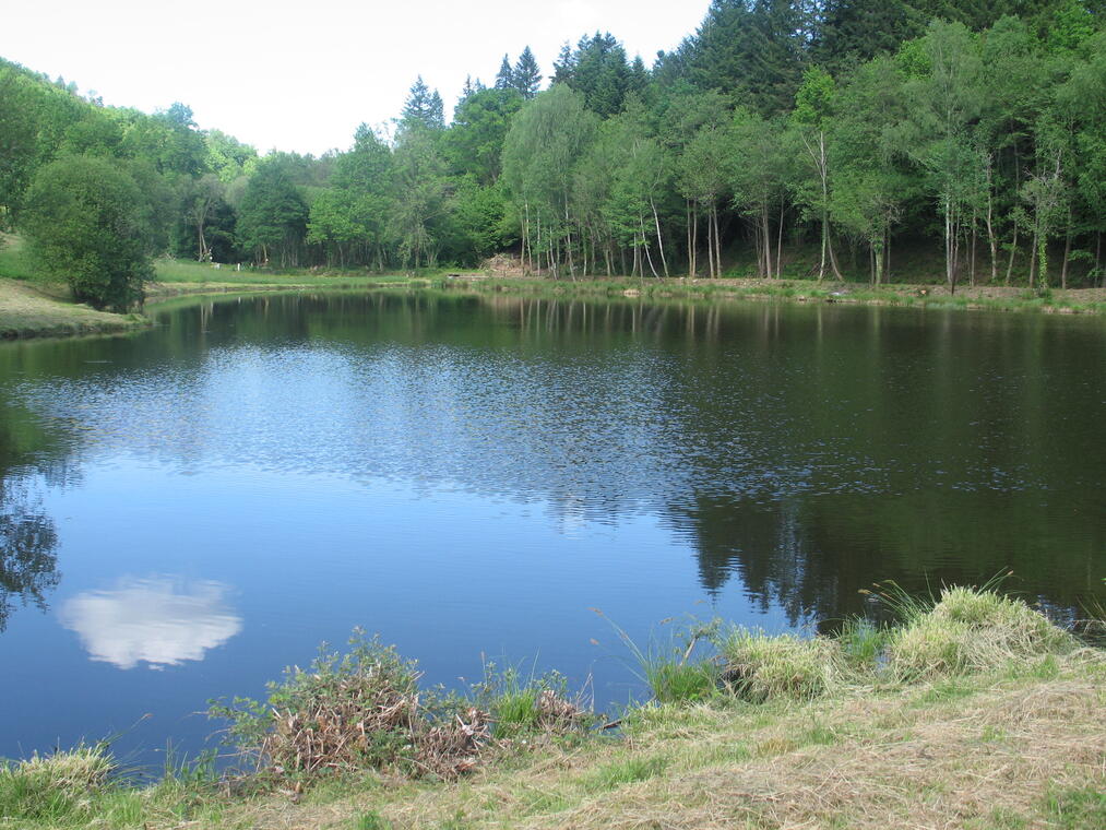 Etang de Saint Moreil_1