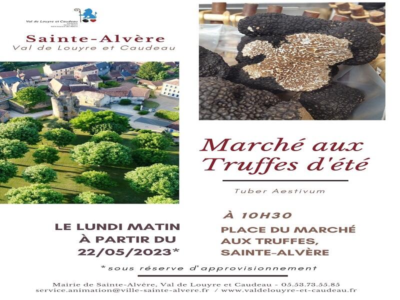 22 05 23 - marché aux truffes d'été - SA