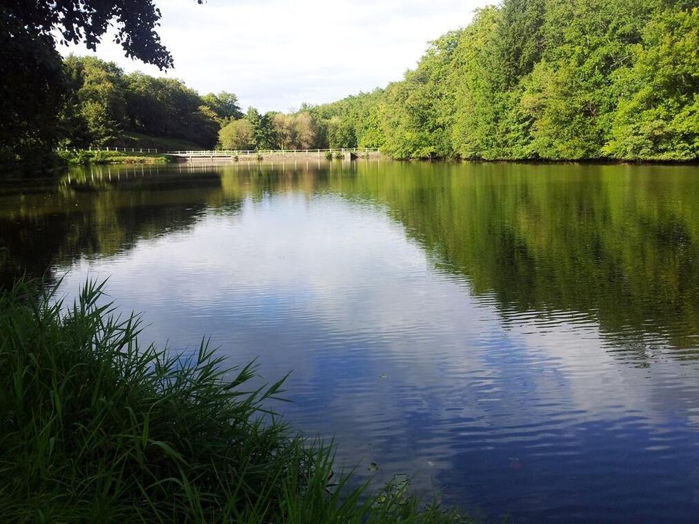 Etang de la Gane - Evaux ©otevauxlesbains_1